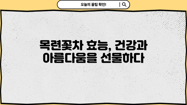 목련꽃차 효능과 아름다운 꽃말| 봄 향기 가득한 차 한 잔의 매력 | 목련차, 목련꽃, 차 효능, 꽃말, 봄