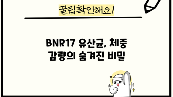 BNR17 유산균 다이어트 효과 높이는 유산균 추천 | BNR17, 유산균 다이어트, 체중 감량, 장 건강