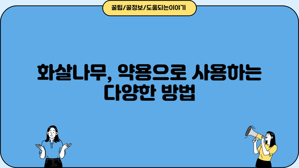 화살나무 효능과 먹는 법| 건강에 좋은 효과와 활용법 총정리 | 화살나무, 약용, 차, 섭취 방법, 부작용