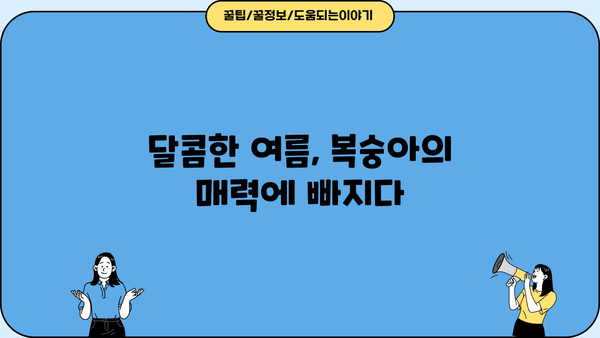 복숭아 완벽 가이드| 효능, 칼로리, 보관법, 고르는 법 | 여름 과일, 건강 정보, 맛있게 먹는 팁