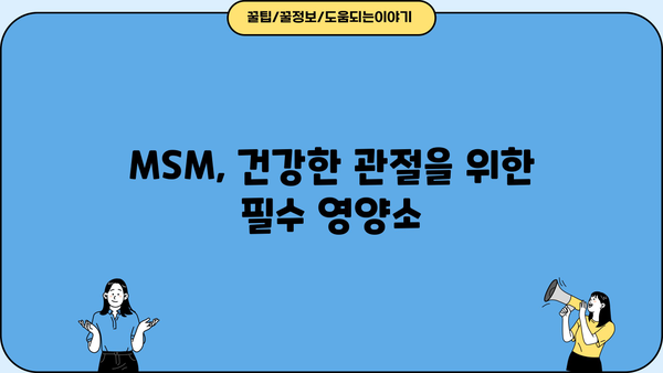 MSM 식이유황의 관절 건강 효능| 엠에스엠 영양제 선택 가이드 | 관절 건강, 엠에스엠 효능, 영양제 추천