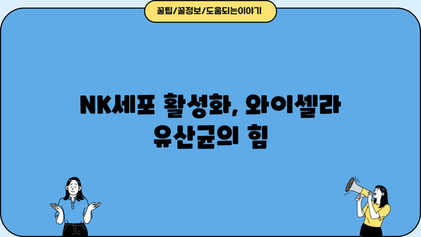 면역력 강화에 도움되는 와이셀라 유산균| 효능, NK세포 활성화, 부작용까지 | 면역, 장 건강, 건강 기능성
