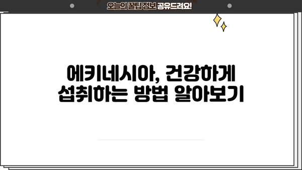 에키네시아 효능, 추출물 & 추천 제품, 부작용까지 완벽 정리 | 면역력 강화, 감기 예방, 건강 정보