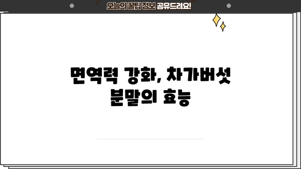 차가버섯 효능 분말, 부작용 없이 안전하게 먹는 방법 | 건강, 면역력, 항암 효과, 차가버섯 분말 섭취 가이드