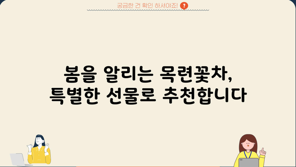 목련꽃차 효능과 아름다운 꽃말| 봄 향기 가득한 차 한 잔의 매력 | 목련차, 목련꽃, 차 효능, 꽃말, 봄