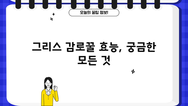 그리스 감로꿀 효능 제대로 알고, 부작용 없이 즐기는 꿀팁 | 건강, 면역력, 섭취 방법, 주의 사항