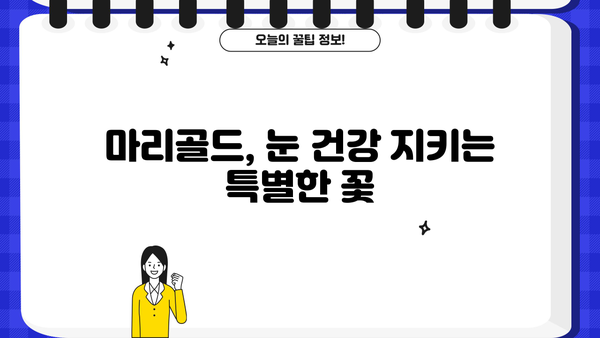 눈 건강 지키는 루테인 지아잔틴! 마리골드 효능 & 추천 꽃차 | 루테인, 지아잔틴, 마리골드, 눈 건강, 꽃차