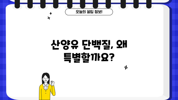 산양유 단백질 효능 & 추천 프로틴 분말 | 섭취 방법, 장점 비교, 주의 사항