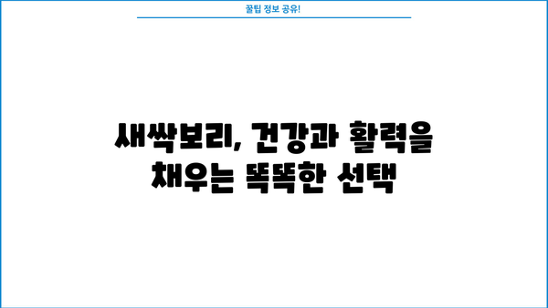 새싹보리 효능과 먹는 법| 건강과 활력을 채우는 똑똑한 선택 | 건강, 영양, 섭취방법, 효능, 부작용