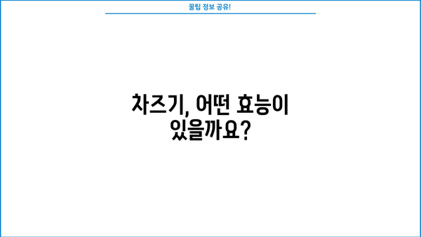 차즈기 효능| 소엽, 자소엽의 놀라운 효능과 먹는 법 (중국 명의 화타가 극찬한 약초) | 차즈기, 소엽, 자소엽, 효능, 먹는법, 레시피, 건강