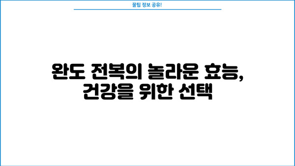 완도 전복의 놀라운 효능과 칼로리 | 제철 전복, 완도산 전복, 전복 요리, 건강 정보