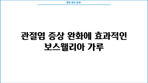 관절 건강을 위한 선택, 보스웰리아 가루| 효능, 효과, 부작용 총정리 | 관절염, 통증 완화, 천연 성분, 건강 정보