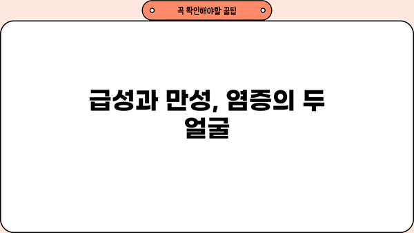 만성염증과 급성염증| 차이점, 원인, 그리고 만성염증에 좋은 음식 | 건강, 염증, 식단, 관리