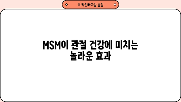 MSM 식이유황 효능 & 부작용 완벽 정리| 관절 건강 위한 엠에스엠 영양제 선택 가이드 | MSM, 관절 건강, 영양제, 부작용, 효능