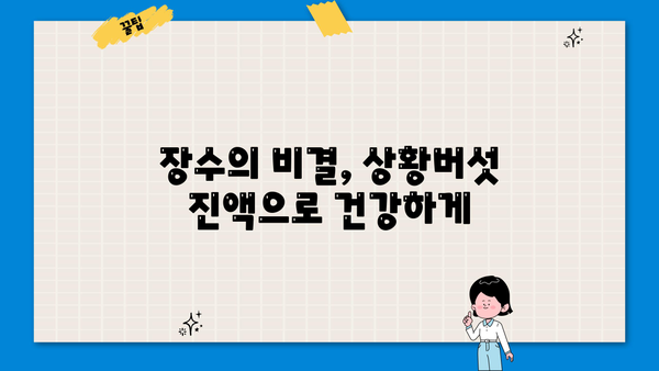 장수 상황버섯 진액 효능과 먹는 방법 총정리 | 건강, 면역력, 항암 효과, 장수 비결