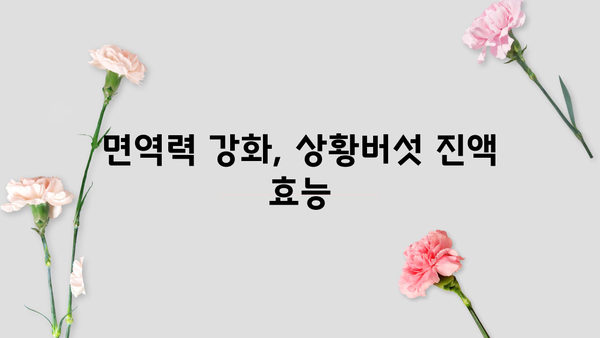 장수 상황버섯 진액 효능과 먹는 방법 총정리 | 건강, 면역력, 항암 효과, 장수 비결