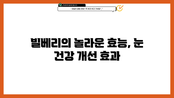 빌베리 오메가 3, 눈 건강과 뇌 건강을 위한 똑똑한 선택 | 빌베리 효능, 오메가 3 효능, 눈 건강, 뇌 건강, 건강 정보