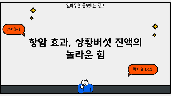 장수 상황버섯 진액 효능과 먹는 방법 총정리 | 건강, 면역력, 항암 효과, 장수 비결