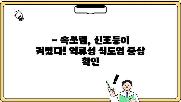 역류성 식도염, 증상부터 치료까지 완벽 가이드 | 원인, 예방, 식단 관리, 증상 완화 팁