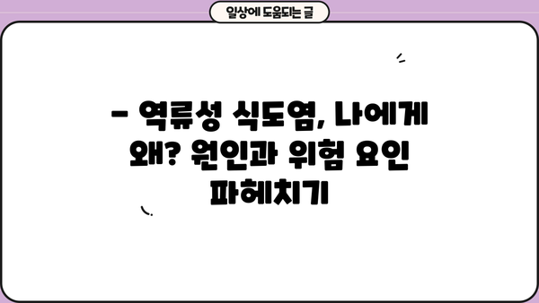 역류성 식도염, 증상부터 치료까지 완벽 가이드 | 원인, 예방, 식단 관리, 증상 완화 팁