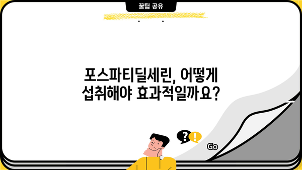 포스파티딜세린 효능 & 효과| 뇌 건강 위한 핵심 영양제 정보 | 뇌 기능 개선, 기억력 증진, 치매 예방