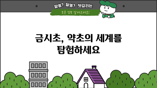 금시초의 모든 것| 효능, 재배, 먹는 방법, 재배 농장 정보 | 약초, 건강, 재배 가이드, 농장 정보