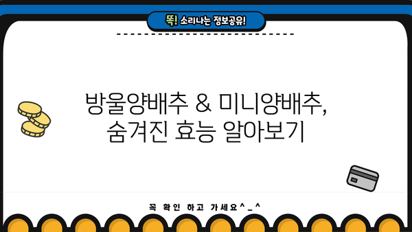 방울양배추 & 미니양배추| 건강 효능과 맛있는 먹는 법 | 다이어트, 영양, 레시피