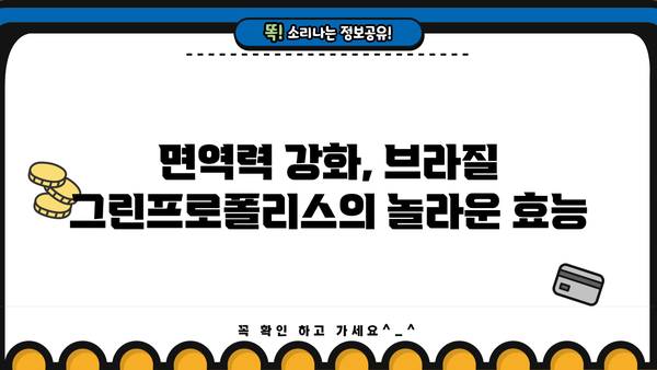 브라질 그린프로폴리스 효능 제대로 알고 부작용 없이 먹는 방법 | 건강, 면역력, 천연 항생제, 섭취 가이드