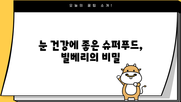 눈 건강 지키는 슈퍼푸드! 빌베리 효능 & 분말 먹는법 | 안토시아닌, 눈에 좋은 음식, 시력 개선