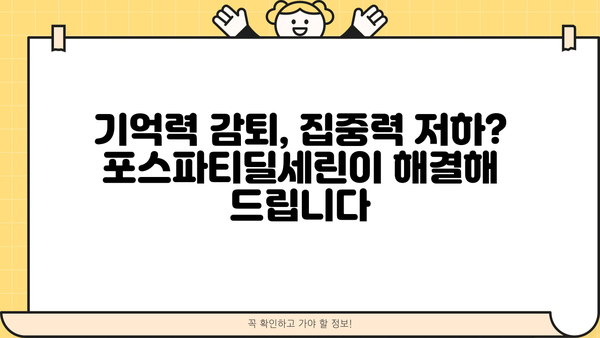 포스파티딜세린 효능 & 효과| 뇌 건강 위한 핵심 영양제 정보 | 뇌 기능 개선, 기억력 증진, 치매 예방