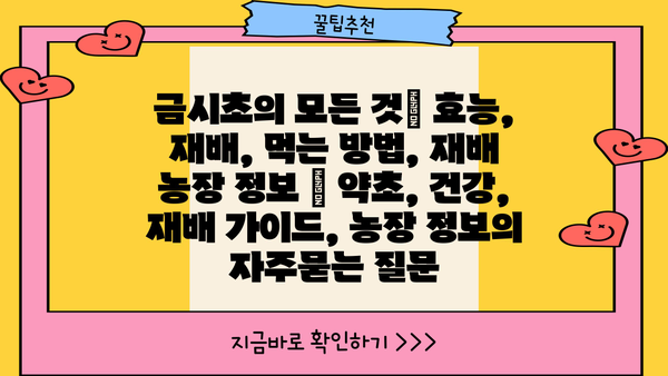 금시초의 모든 것| 효능, 재배, 먹는 방법, 재배 농장 정보 | 약초, 건강, 재배 가이드, 농장 정보