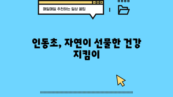 금은화 효능| 인동초 꽃 추출물의 놀라운 효능과 활용법 | 인동초, 금은화차, 항염 효과, 면역력 강화