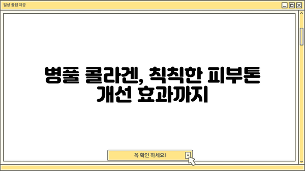 병풀 콜라겐 효능| 피부 노화 방지에 효과적인 병풀 추출물의 놀라운 비밀 | 병풀, 콜라겐, 노화 예방, 피부 관리
