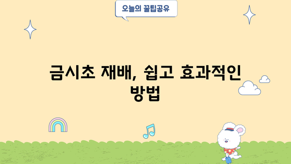금시초의 모든 것| 효능, 재배, 먹는 방법, 재배 농장 정보 | 약초, 건강, 재배 가이드, 농장 정보