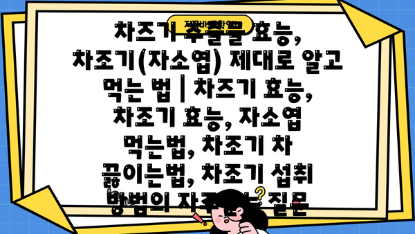 차즈기 추출물 효능, 차조기(자소엽) 제대로 알고 먹는 법 | 차즈기 효능, 차조기 효능, 자소엽 먹는법, 차조기 차 끓이는법, 차조기 섭취 방법