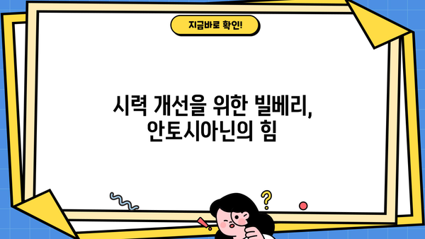 눈 건강 지키는 슈퍼푸드! 빌베리 효능 & 분말 먹는법 | 안토시아닌, 눈에 좋은 음식, 시력 개선