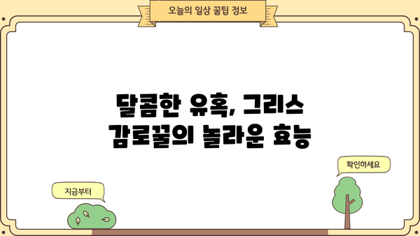 그리스 천연 감로 꿀의 놀라운 효능과 주의해야 할 부작용 | 건강, 꿀, 그리스, 효능, 부작용