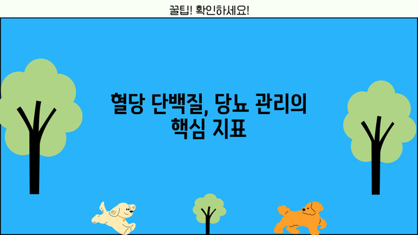혈당 단백질 이것만 알면 OK! 효능, 추천, 부작용 완벽 정리 | 당뇨, 건강, 식품