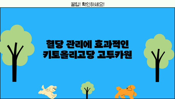 키토올리고당 고투카원| 다이어트와 당뇨에 좋은 효능 | 건강 식품, 혈당 조절, 체중 감량