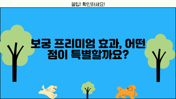 관절 보궁| 효능, 가격, 프리미언 효과, 부작용 총정리 | 건강, 관절 건강, 보궁