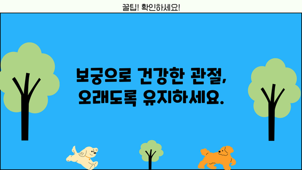 관절 보궁| 효능, 가격, 프리미언 효과, 부작용 총정리 | 건강, 관절 건강, 보궁