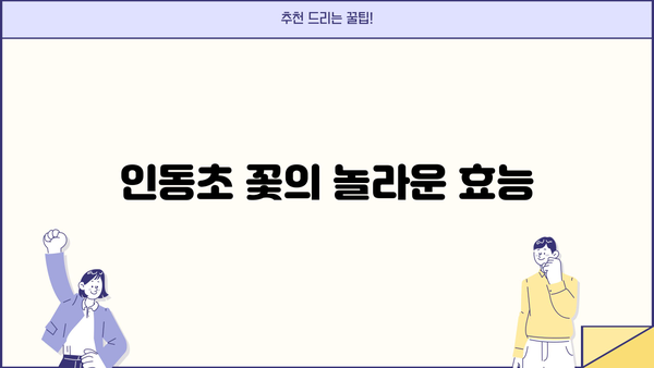 금은화 효능| 인동초 꽃 추출물의 놀라운 효능과 활용법 | 인동초, 금은화차, 항염 효과, 면역력 강화