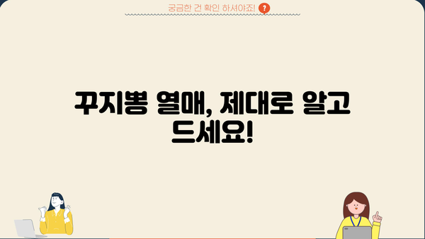 꾸지뽕 효능, 구지뽕 열매, 구찌뽕 먹는 법 총정리| 건강 효과부터 섭취 방법까지 | 꾸지뽕, 구지뽕 효능, 구찌뽕 먹는 방법, 구찌뽕 차, 구찌뽕 효능 및 부작용