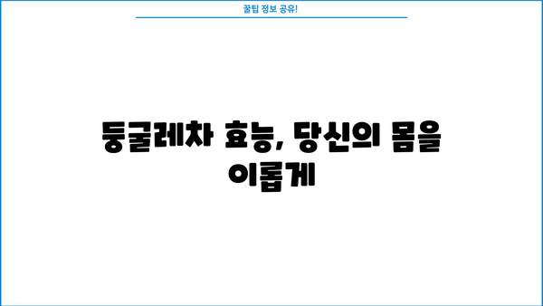 둥굴레차 효능과 부작용 완벽 정리 | 건강, 둥굴레, 차, 효능, 부작용, 주의사항